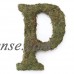 Large (15") Moss Monogram, A   555722651